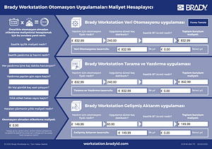 Brady Workstation Otomasyon Uygulamaları Maliyet Hesaplayıcı (EURO)