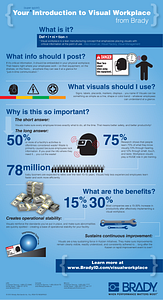 Introduction to Visual Workplace Infographic - Brady