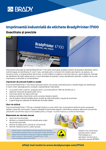 Information sheet for BradyPrinter i7100 in Romanian
