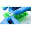 Étiquette pour tubes PCR pour imprimantes à transfert thermique 3
