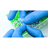 Für Thermotransferdrucker geeignetes Etikett für PCR-Röhrchen 5