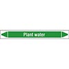 Plant Water Linerless Pipe Markers on a Roll