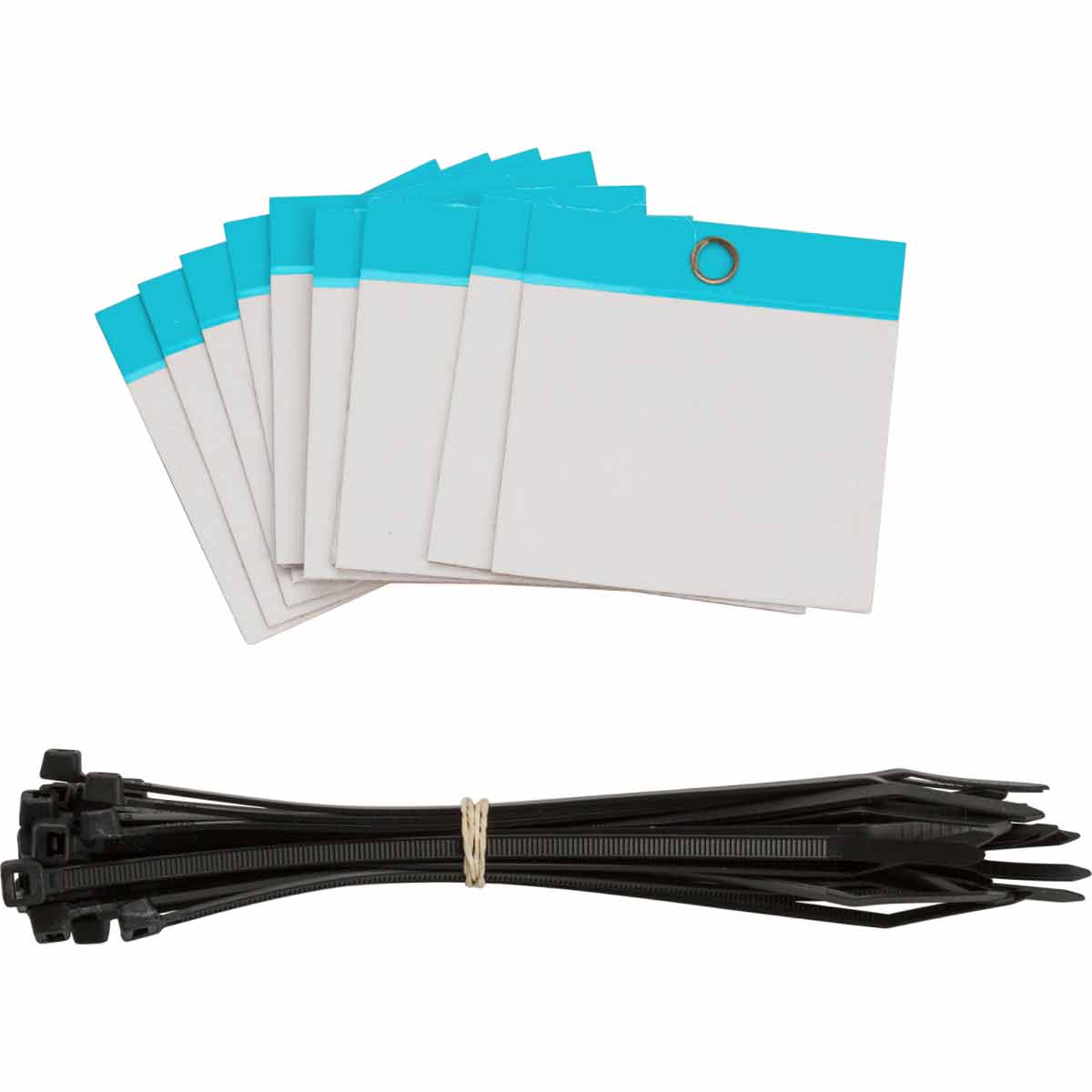 102007 Self Lam Tags 3in H x 3in W Blue 25/PK