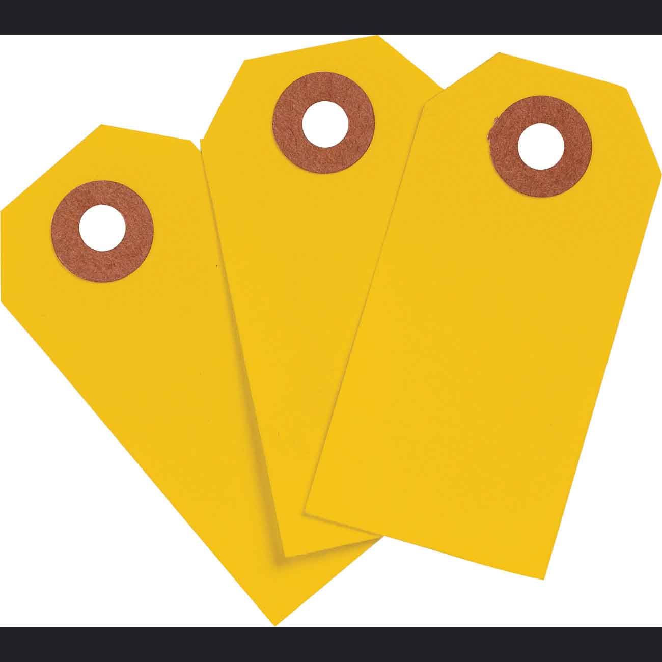 102049 Blank WO Tag 3.25" H x 1.625" W Fluor OR