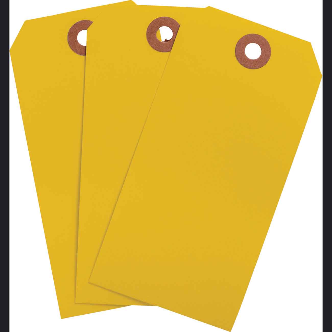 102051 Blank WO Tag 4.25" H x 2.125" W Fluor OR