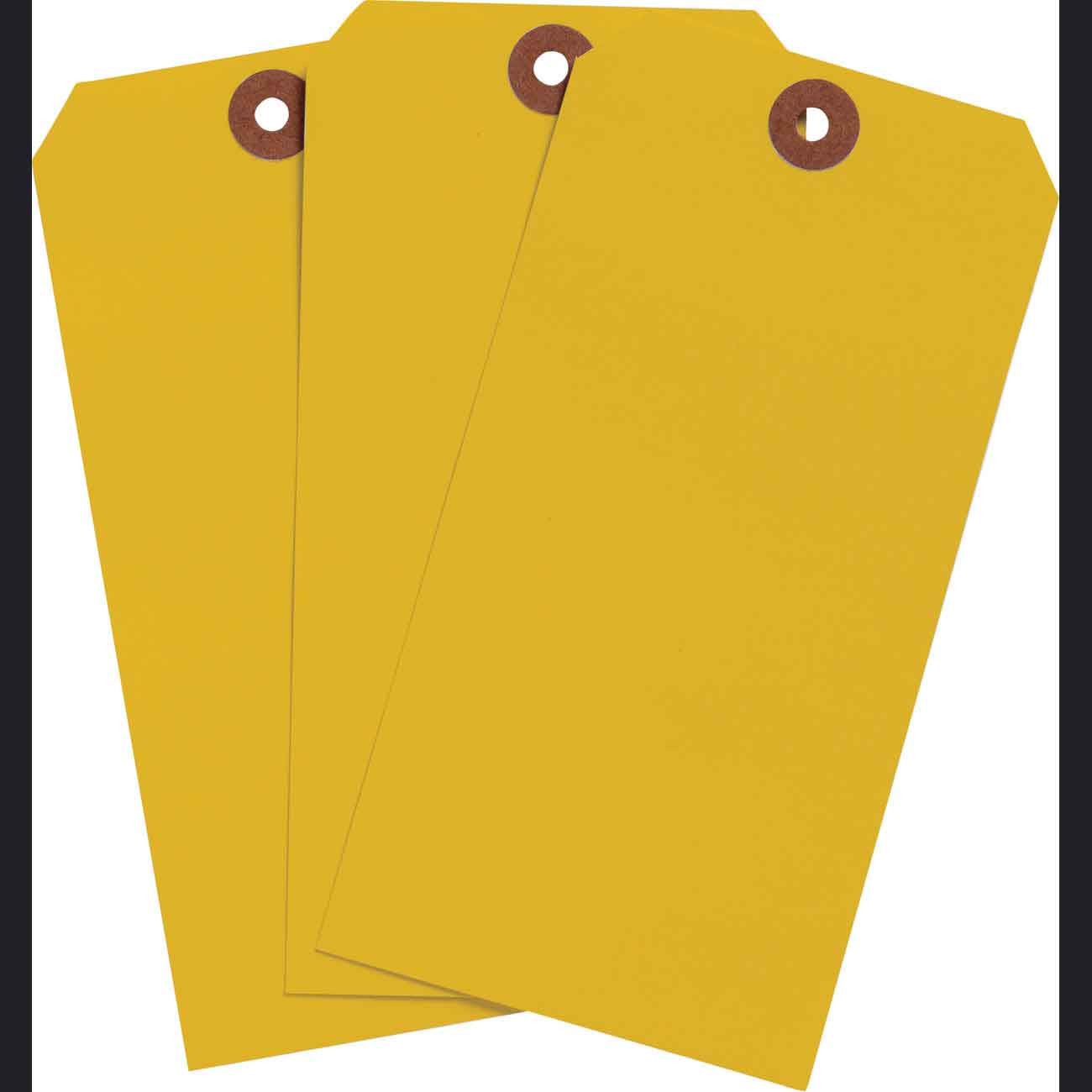 102055 Blank WO Tag 6.25" H x 3.125" W Fluor OR