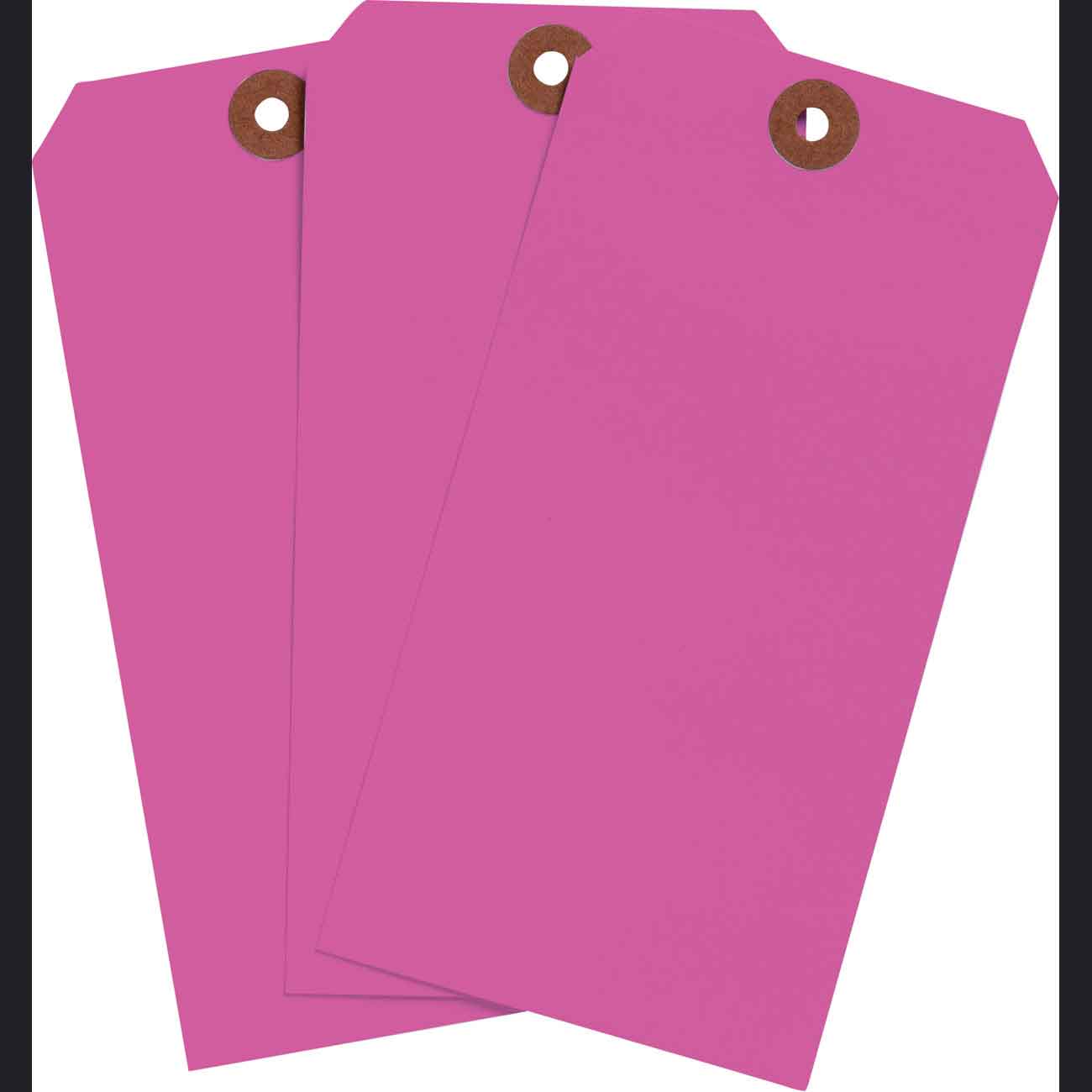 102061 Blank WO Tag 5.25" H x 2.625" W Fluor PK