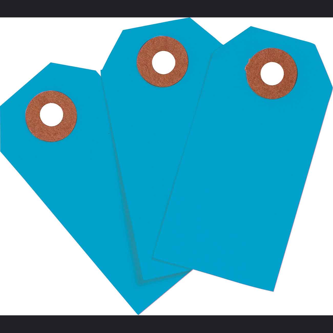 102090 Blank WO Tags 3.75" H x 1.875" W Lft BLU