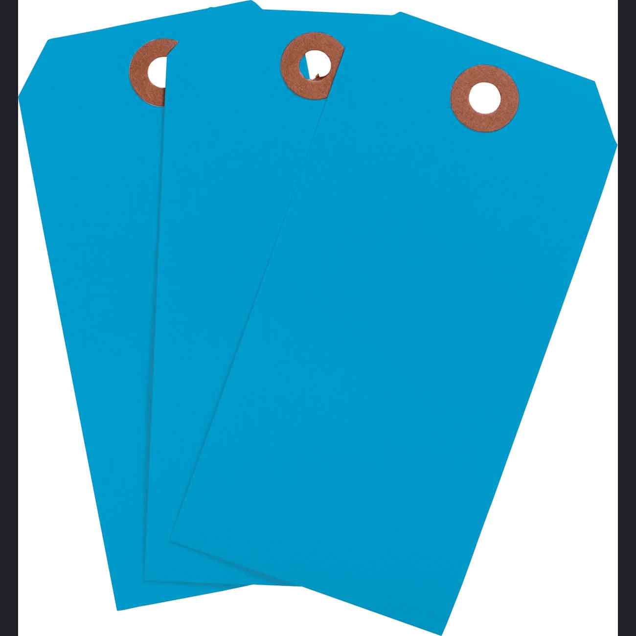 102092 Blank WO Tags 4.75" H x 2.375" W Lft BLU