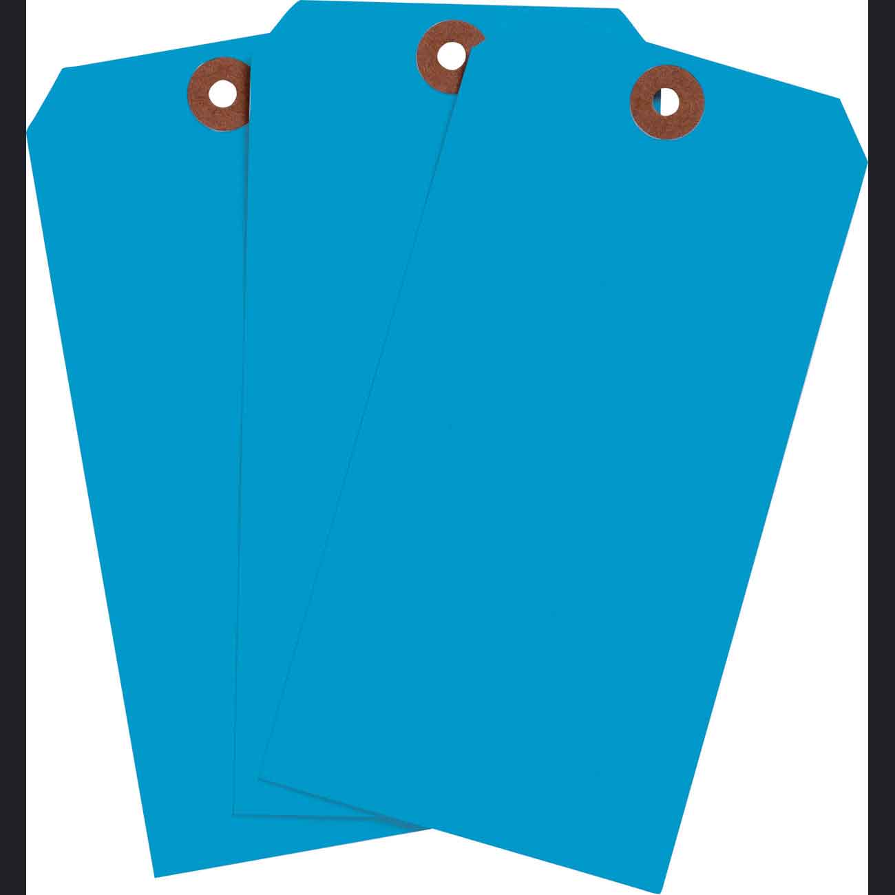 102093 Blank WO Tags 5.25" H x 2.625" W Lft BLU