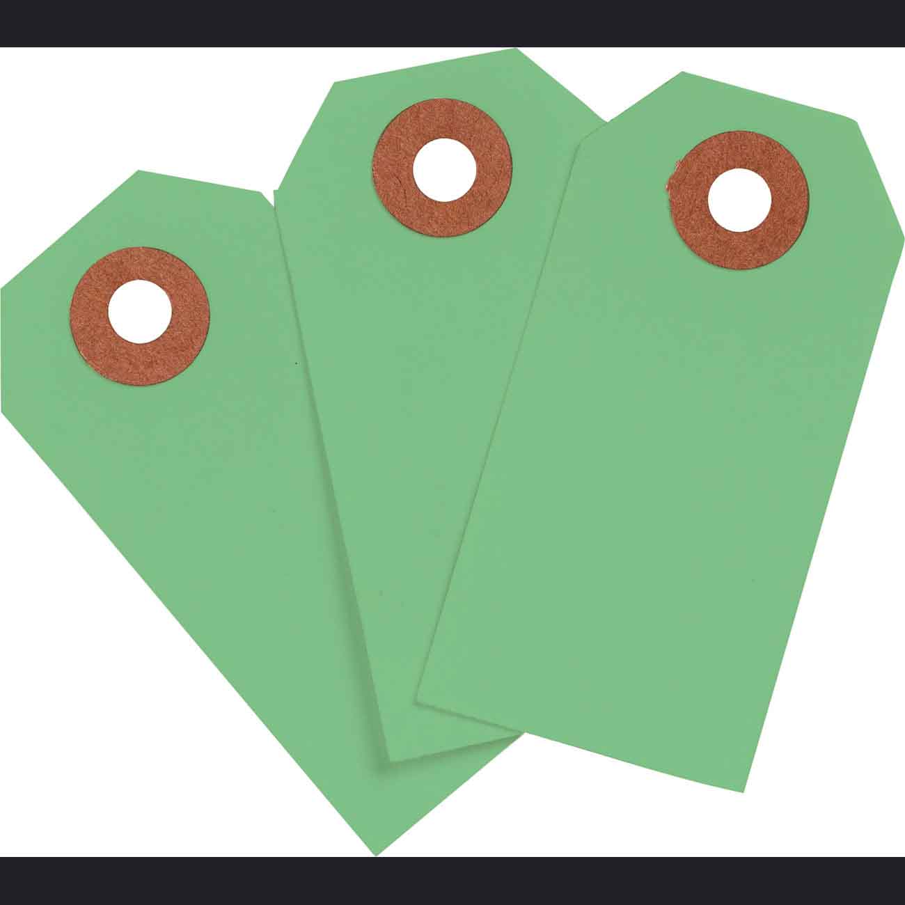 102113 Blank WO Tags 3.25" H x 1.625" W Lgt GRN