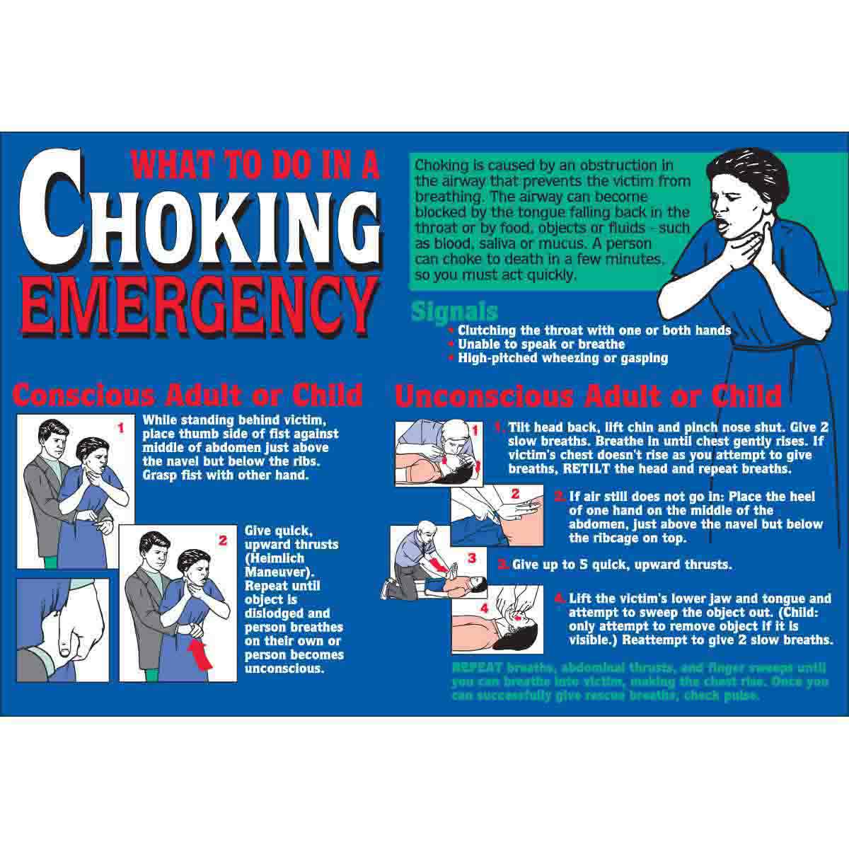 105609 WALLCHART-PLAS-29WX20-CHOKING EMERGENCY