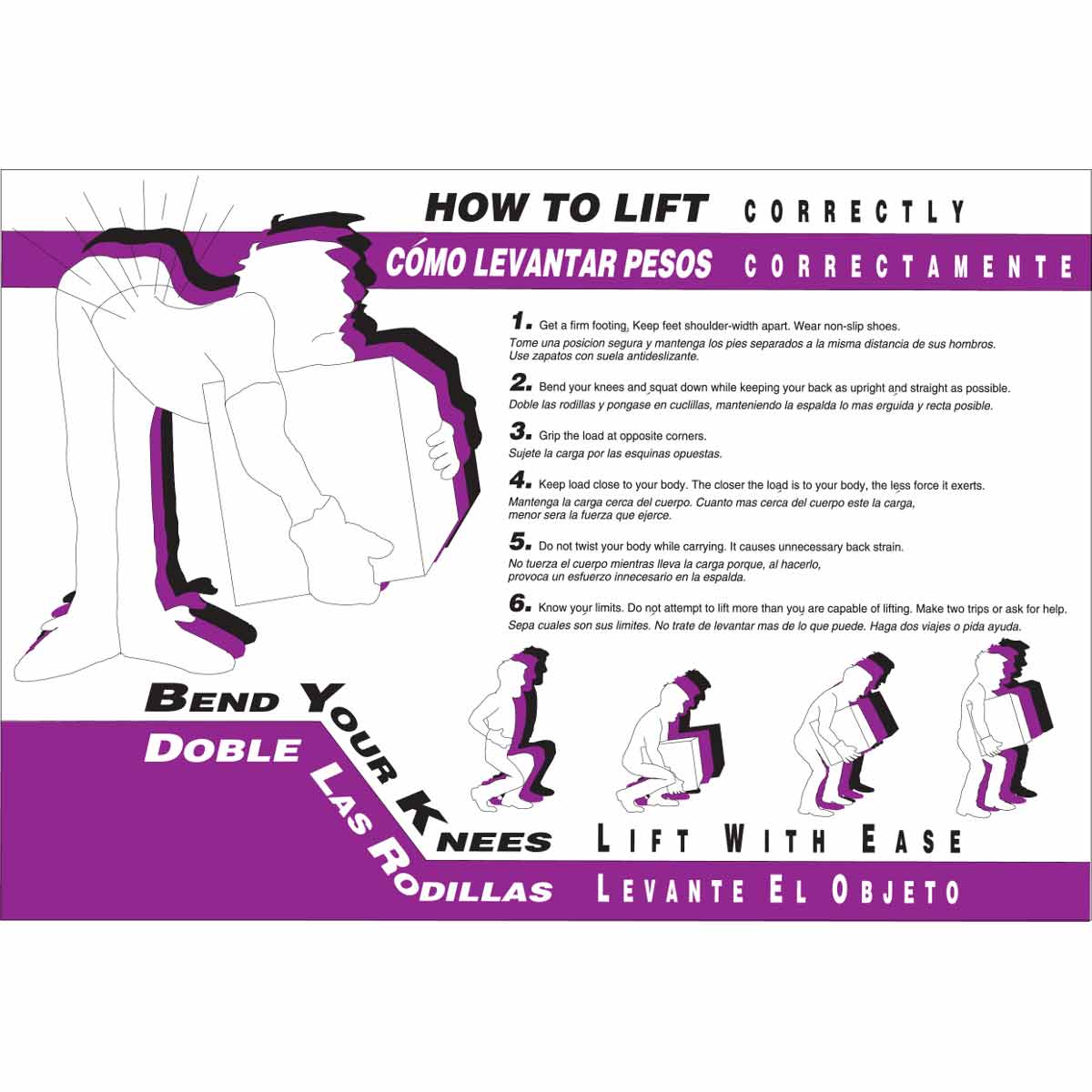 105620 WALLCHART-PLAS-29WX20-HOW TO LIFT-EN/SP