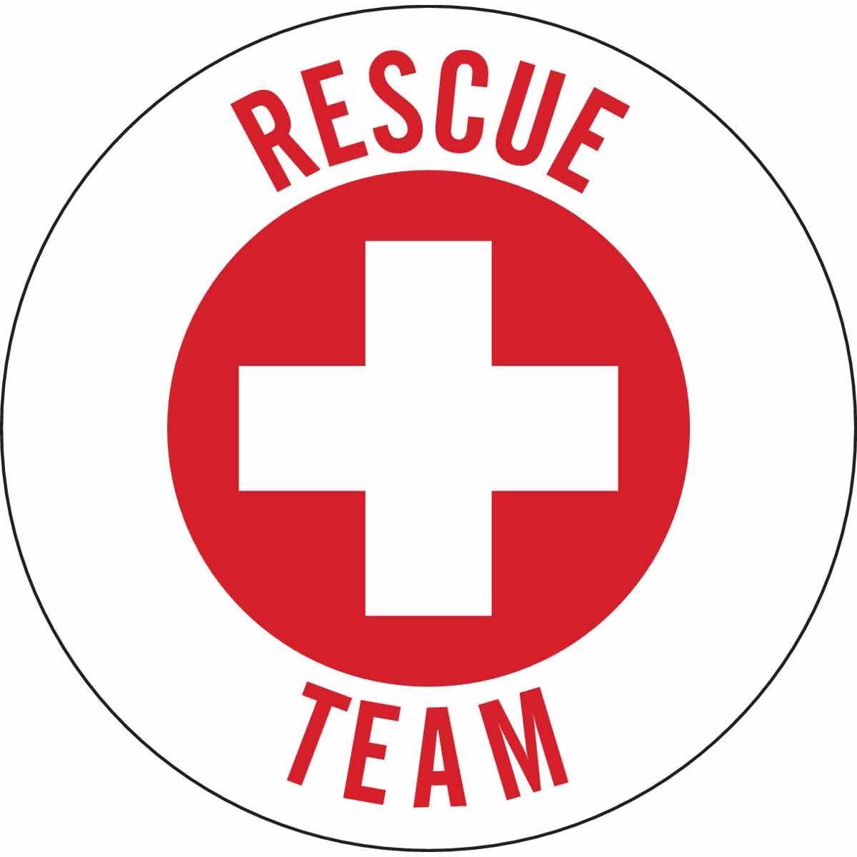 49566 HARD HAT EMBLEM