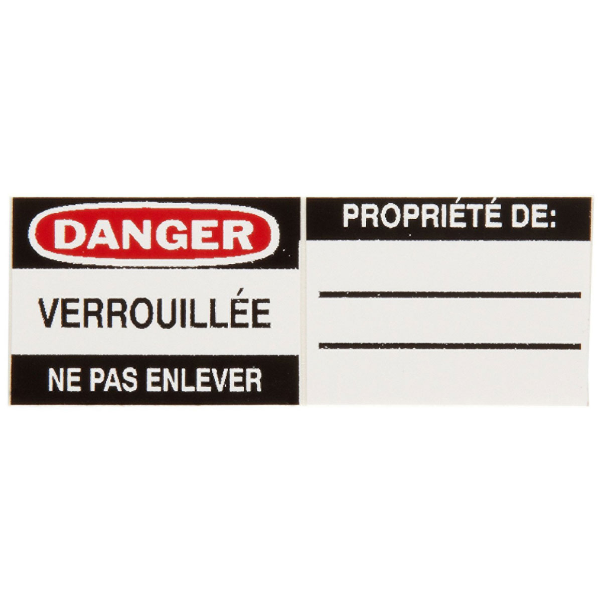 50293 Padlock Labels Vinyl DANGER French 6PK