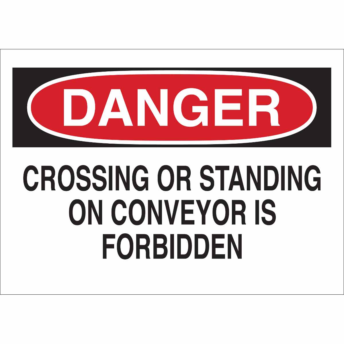 85101 B302-7X10-WK-O-DAN-CROSSING OR STANDING