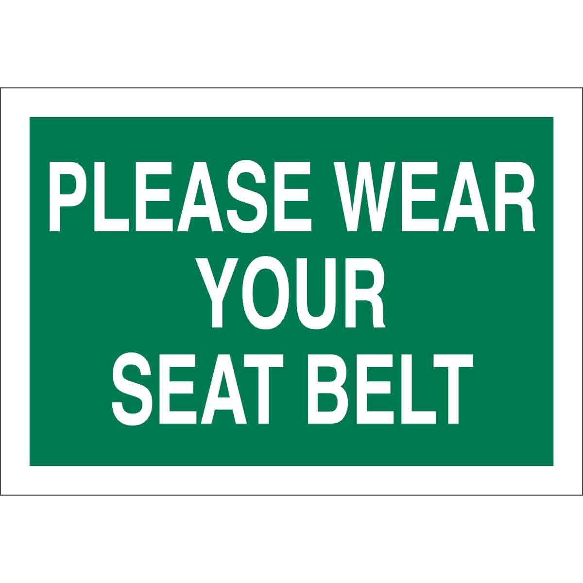 76087 B120,10X14,GRN/WHT,PLEASE WEAR YOUR SEAT