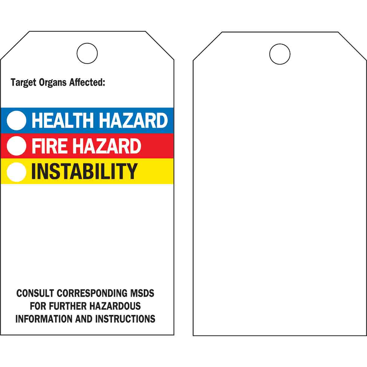 76236 TAG B851,5.75X3 HMIG TAG,FLAP,25/PAC