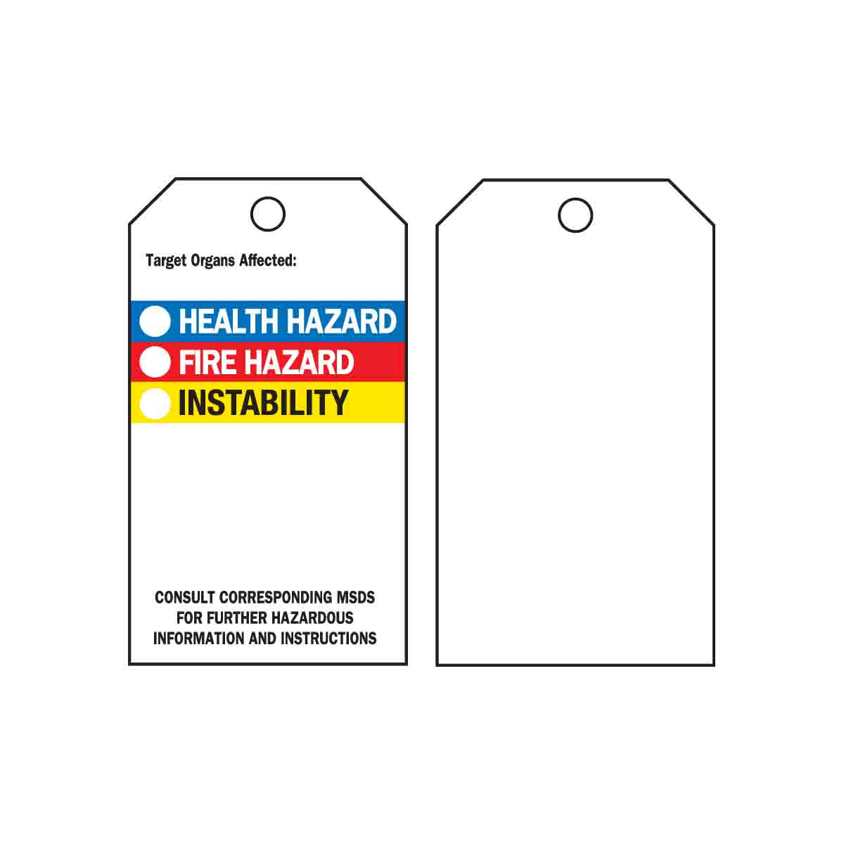76238 TAG B851,5.75X3 HMIG RTK TAG,25/PAC
