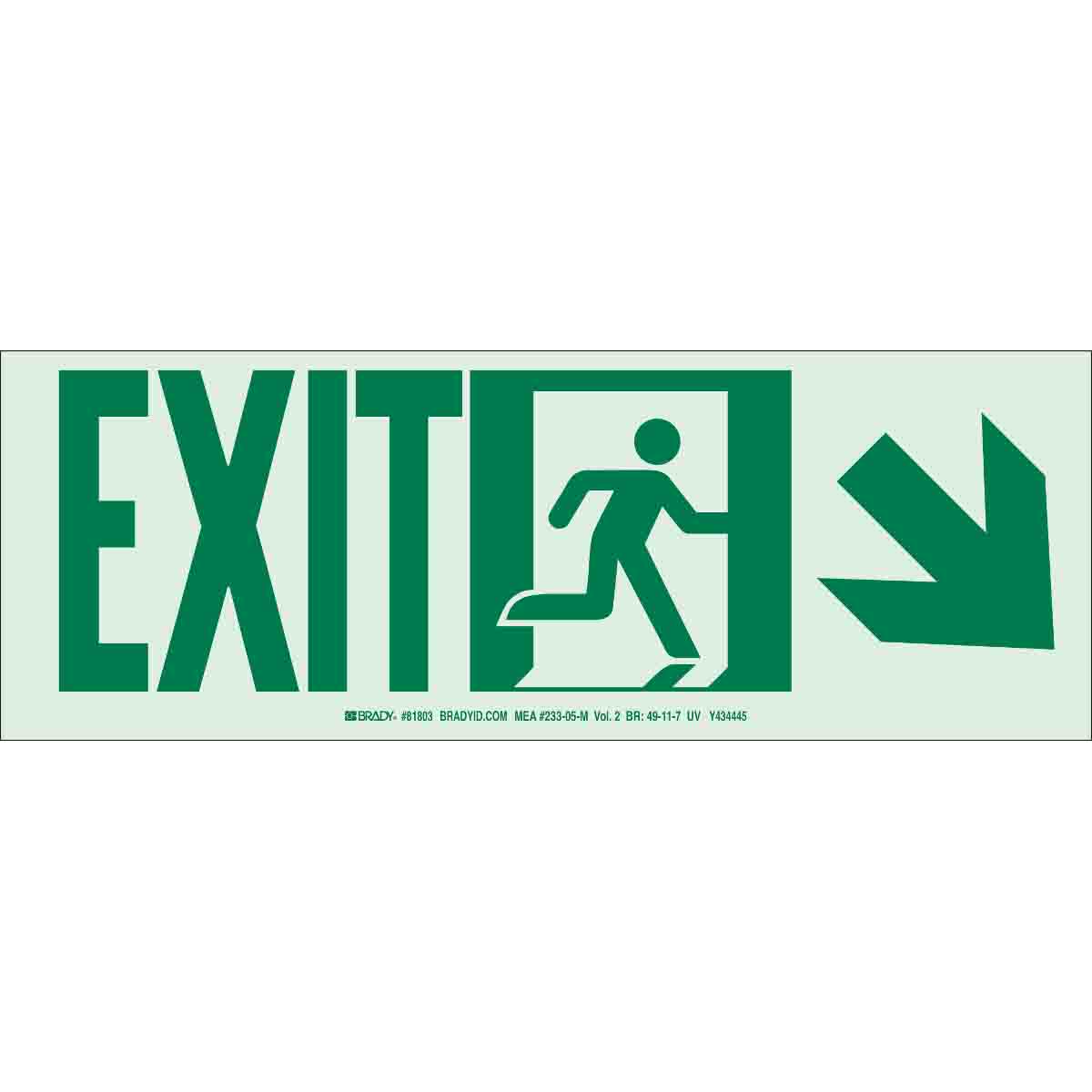 81802 NYC 5X14 EXIT+ARROW DWN-RGHT UL1994