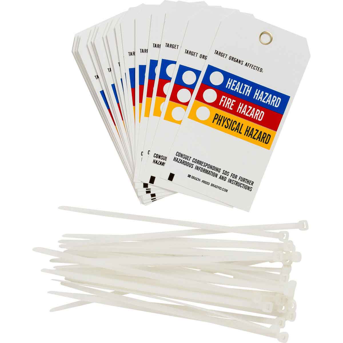 99203 TAG B851,5.75X3 HMIG RTK TAG,25/PK (PH)