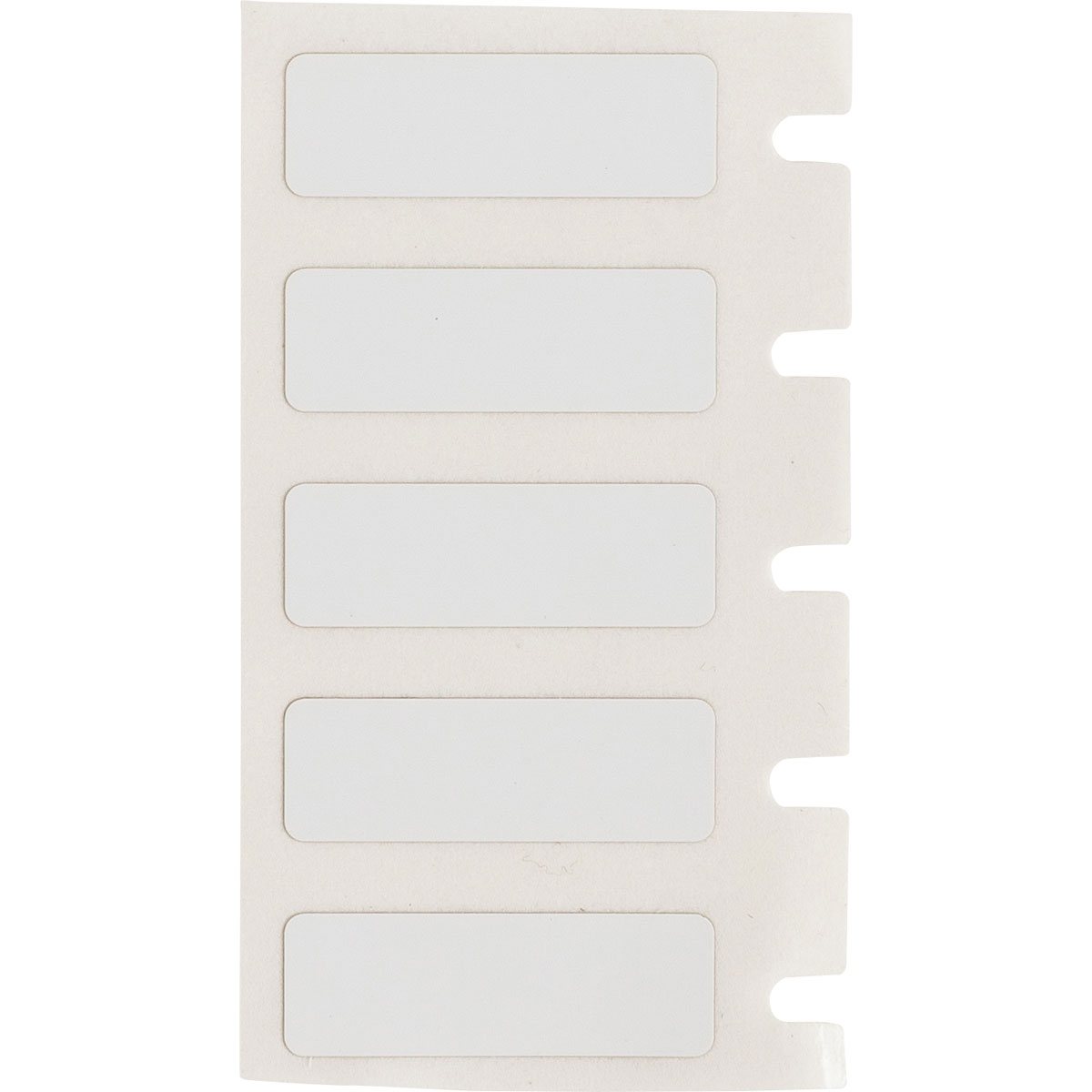 Harsh Environment MultiPurpose Clear Polyester Labels for BMP61 M611