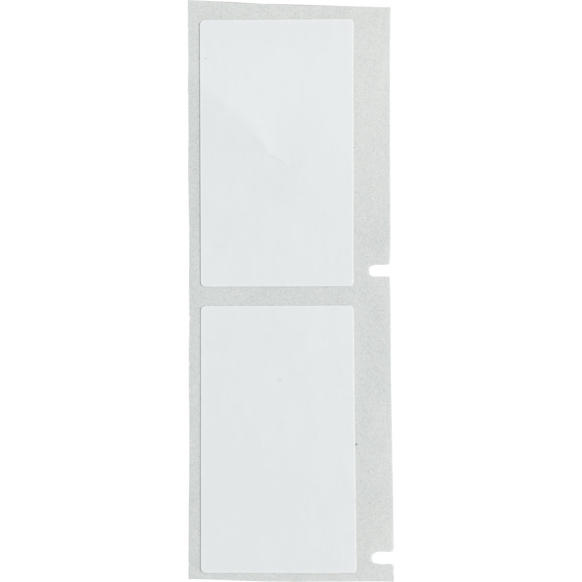 FreezerBondz Cryogenic Matte Polyester Laboratory Labels for M6 M7 ...