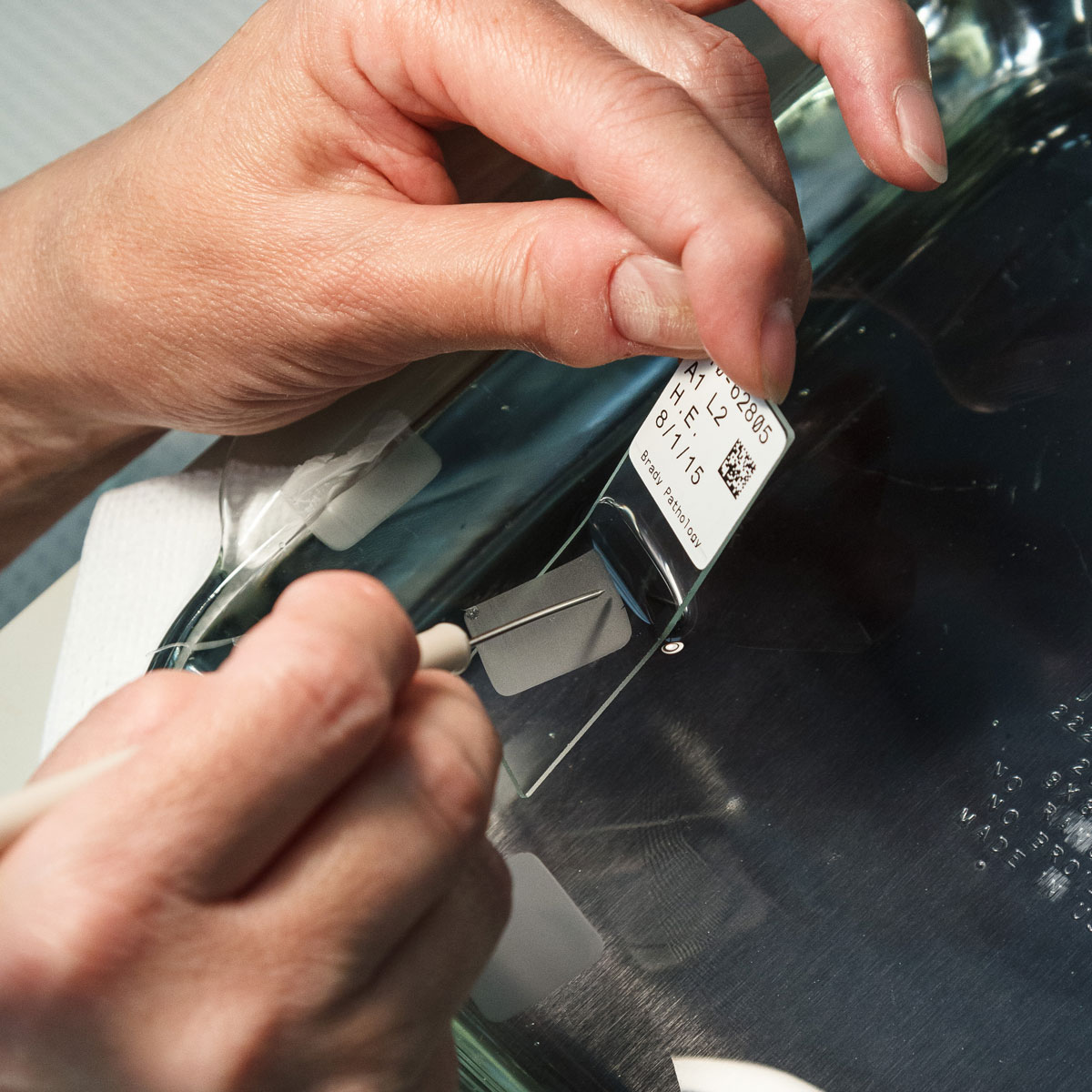 BMP61 M611 Polyester Microscope Slide Laboratory Labels Brady Part