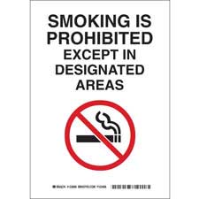 Smoking Is Prohibited Except In Designated Areas Sign | Brady | BradyID.com