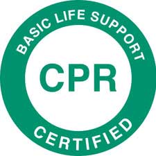 BASIC LIFE SUPPORT CERTIFIED CPR Hard Hat Labels - Brady Part: 42230 ...