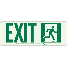 Brady 80292 14 Height 10 Width With Picto Red On Green Color Glow-In-The-Dark Fire And Exit Sign B-347 Plastic Legend Fire Alarm 