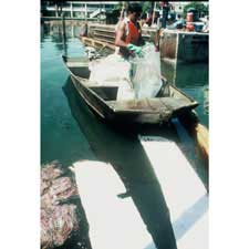 Alternate product view 3