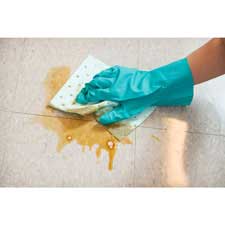 Alternate product view 1