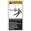 RISK OF ELECTRICAL SHOCK MORE THAN ONE DISCONNECT Labels