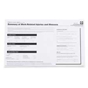OSHA 300A Forms