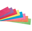 Security Wristbands