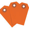 Blank Heavy Duty Fluorescent Red Tags 1