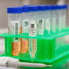 Etiquetas ultra delgadas de poliéster para laboratorios con parte superior para viales, resistentes a sustancias químicas - Impresoras BMP61 M611 1